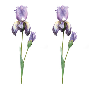 Iris floral stem (set of 6)