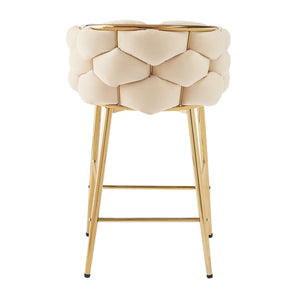 Modern Counter Stools (Set of 2)