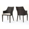 Hillhurst Outdoor Chair Set of 2 with Comfortable Weather Resistant Cushions