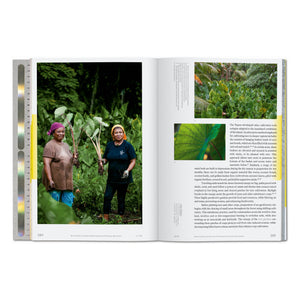 Julia Watson. Lo—TEK. Water. A Field Guide for TEKnology (English)