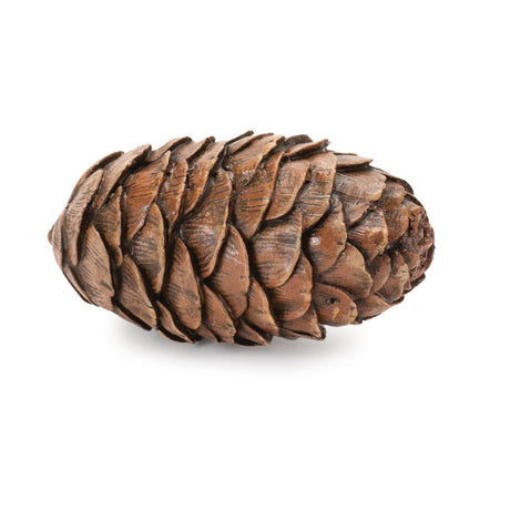 Pine cone decor (set of 12)
