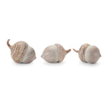 White washed etched acorn (set of 6)