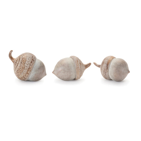 White washed etched acorn (set of 6)