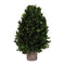 Natural boxwood foliage topiary 15.5"h