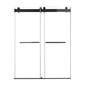 48 inches x 76 inches Double Sliding Shower Door in Matte