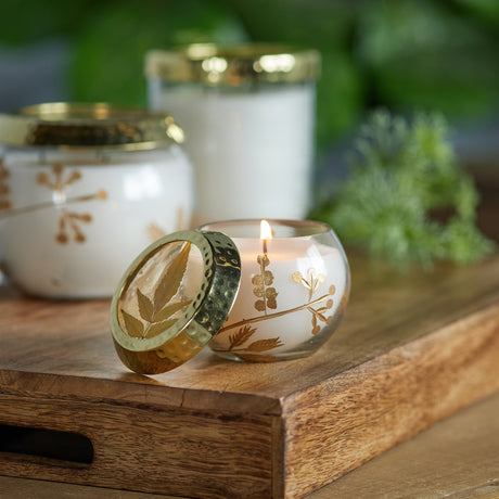 Frosted juniper scented soy candle with pressed leaf lid (set of 3)