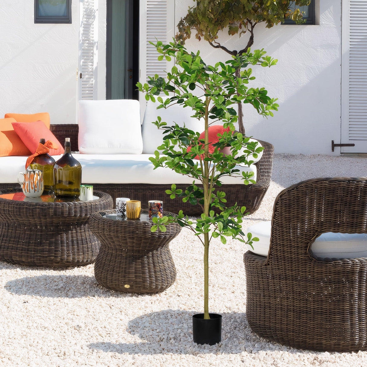 6FT Tall Artificial Tree, Fake Polyscias Fruticosa Plant for Indoor Decor