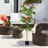 6FT Tall Artificial Tree, Fake Polyscias Fruticosa Plant for Indoor Decor