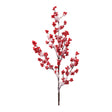 Snowy-winter-berry-branch-(set-of-4)-Christmas-Decor
