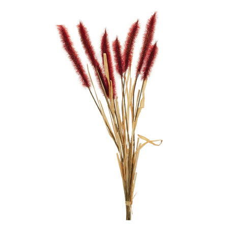Fall foxtail grass bundle (set of 6)