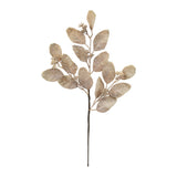 Fall seeded leaf spray (set of 6)
