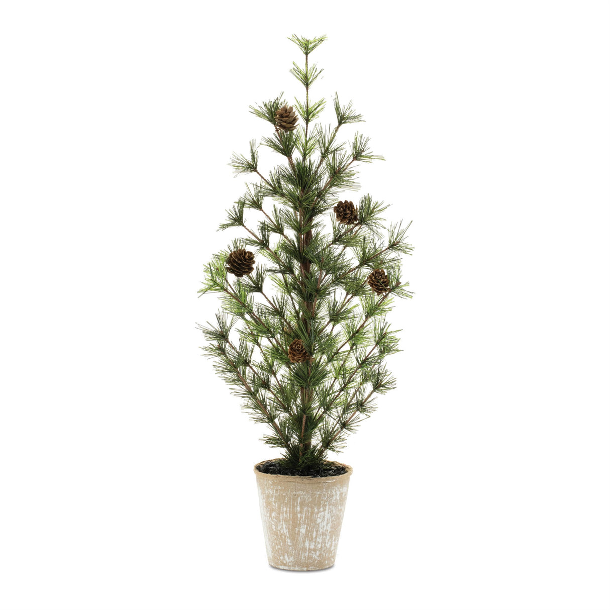 Potted mini pine tree 24"h