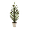 Potted mini pine tree 24"h