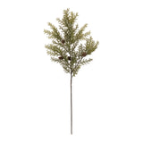 Cedar and pincone spray (set of 6)