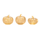 Led mercury glass pumpkin décor (set of 3)