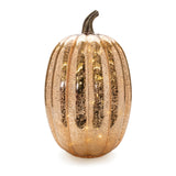 Led mercury glass pumpkin décor (set of 2)