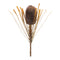 Fall-banksia-pod-stem-(set-of-2)-Artificial-Flowering-Plants