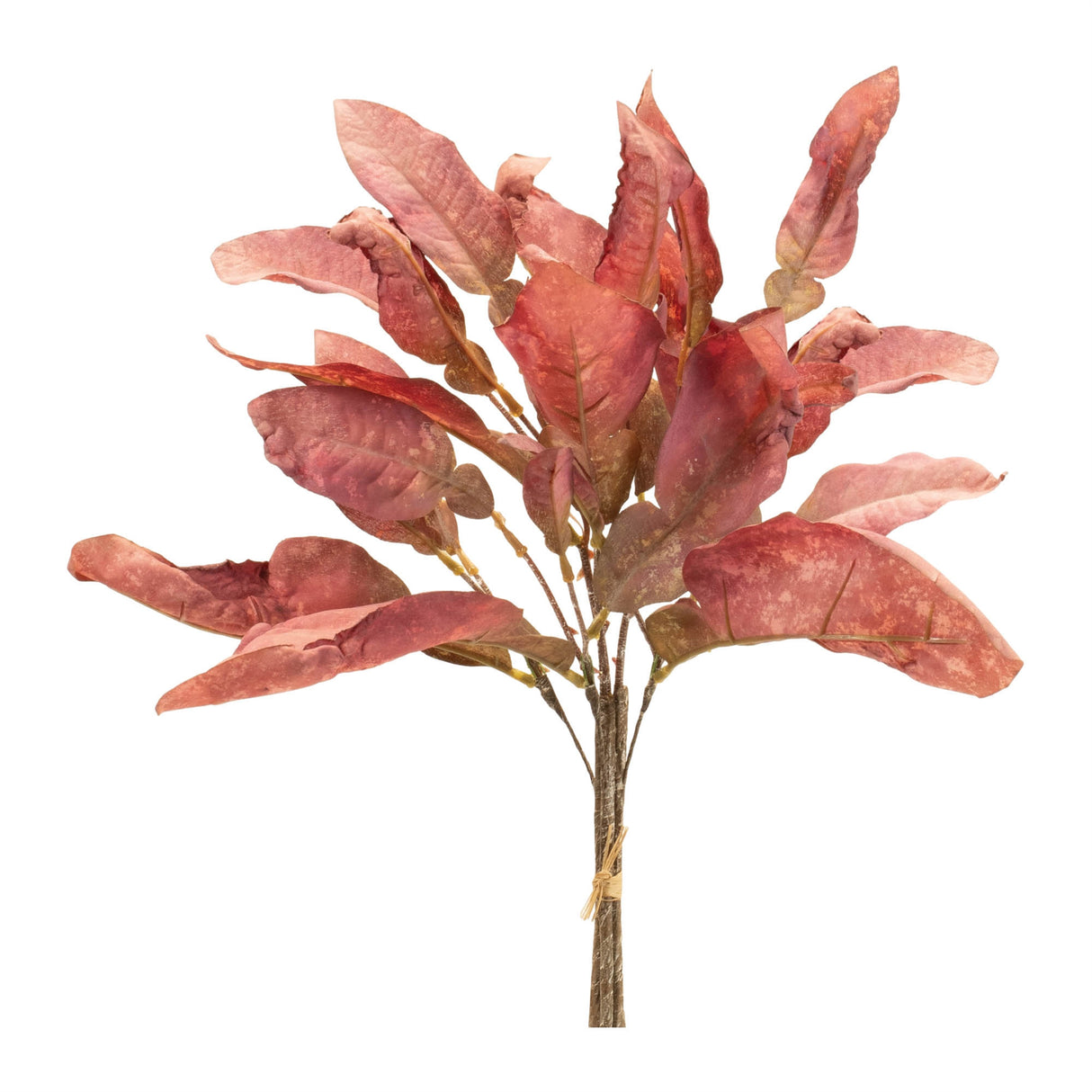 Fall foliage bundle (set of 6)