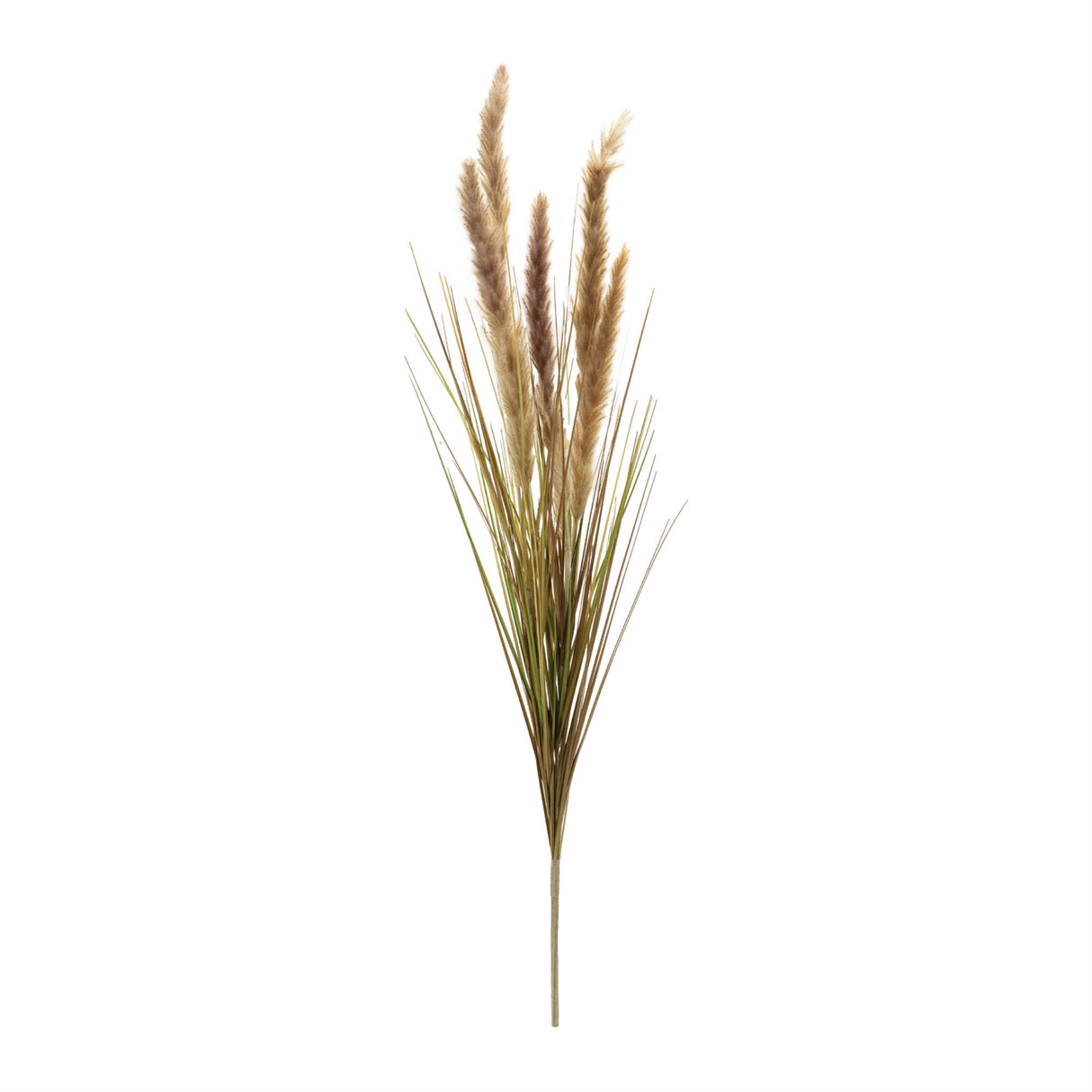 Foxtail grass bush (set of 6)