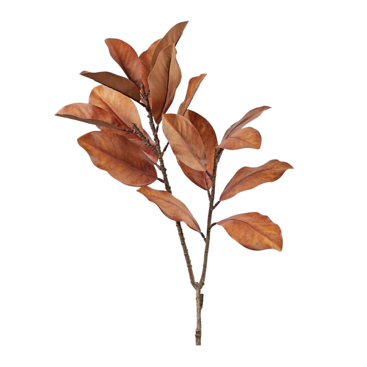 Fall magnolia leaf spray (set of 6)