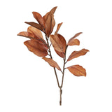 Fall magnolia leaf spray (set of 6)