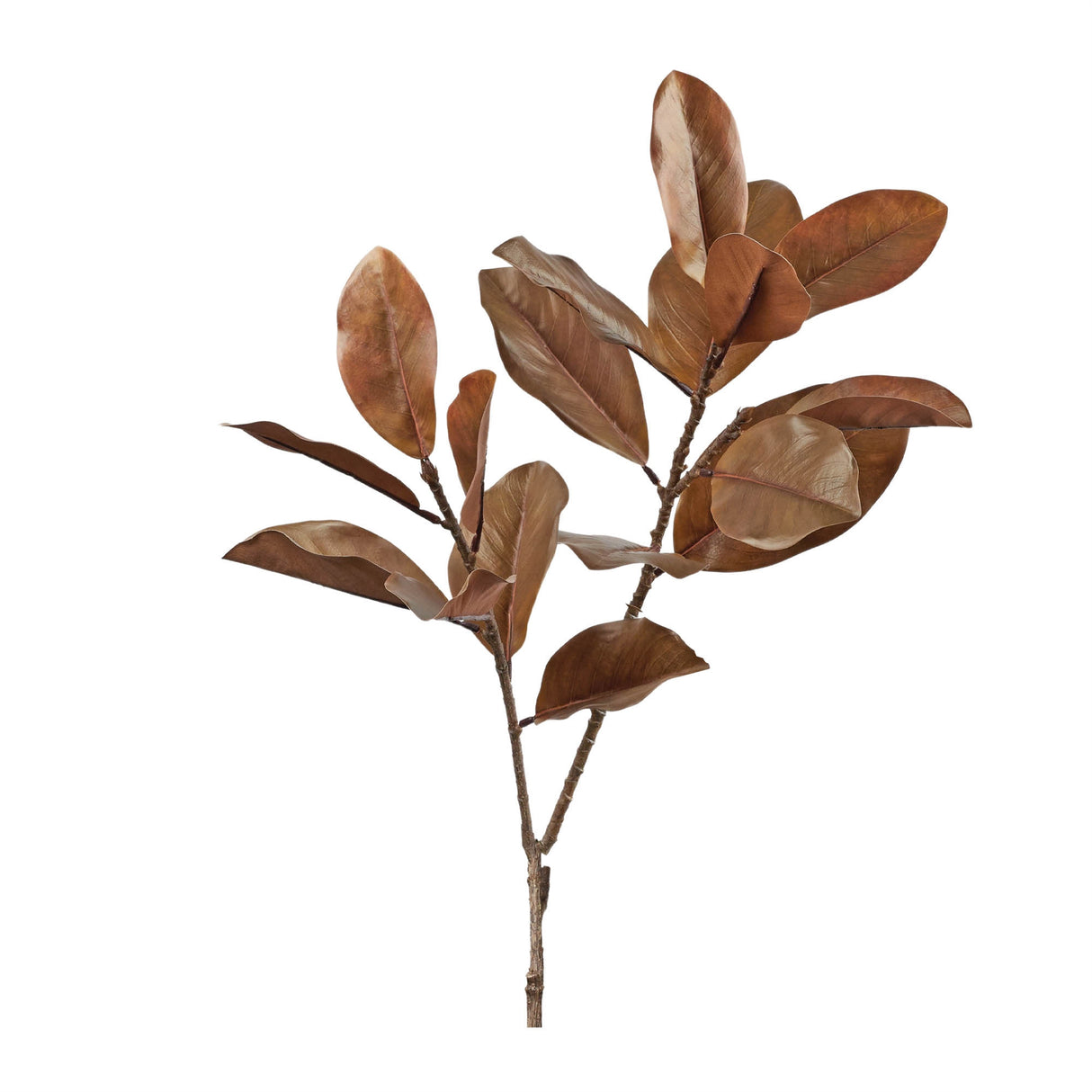 Fall magnolia leaf spray (set of 6)