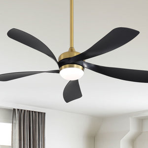 Ceiling Fan With Remote Control, Adjustable Dimmable Lighting & Silent DC Motor