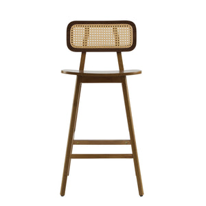 Bari Indoor Wood Barstool (Set of 2)