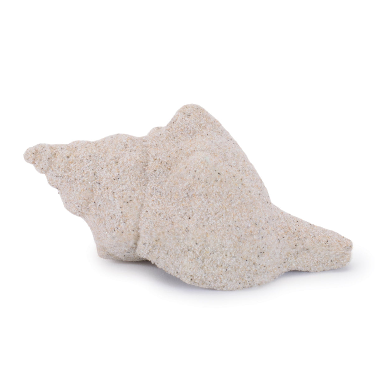 Sea Shell Filler Decor (Set of 12)
