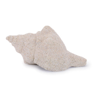 Sea Shell Filler Decor (Set of 12)
