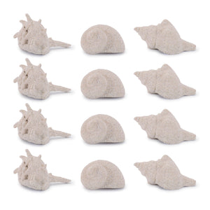 Sea Shell Filler Decor (Set of 12)