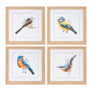 Framed-bird-print-under-glass-(set-of-8)-Wall-Art