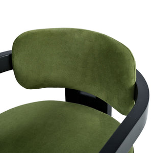 Stylish Indoor Upholstered Wood Dining Chair (Set of 2)