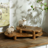 Mango wood pedestal tray (set of 2)