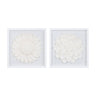 Framed floral wall plaque under glass (set of 2)