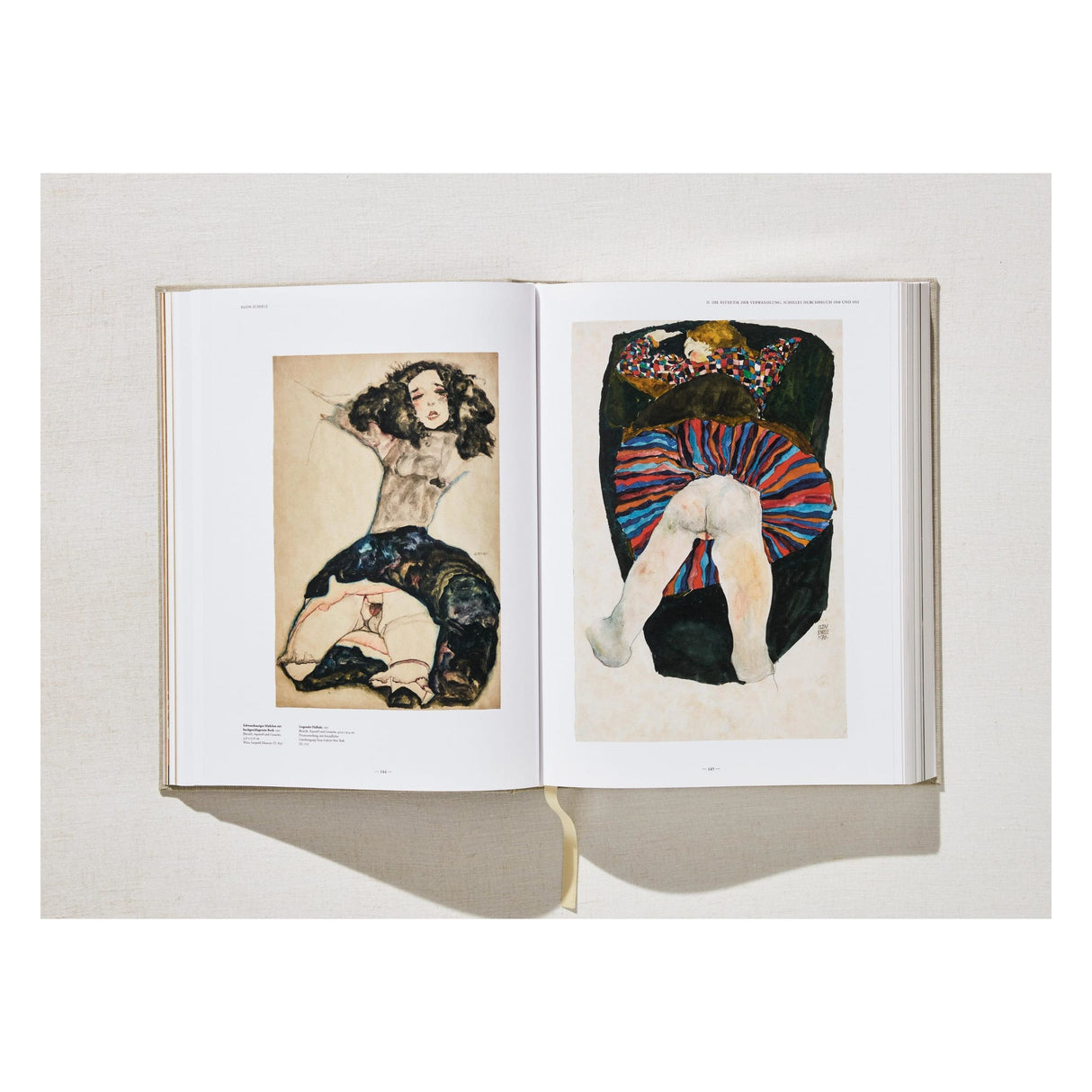 Egon Schiele. The Complete Paintings 1909–1918 (English)
