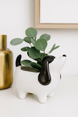 Puppy Dog Planter (Set of 4)