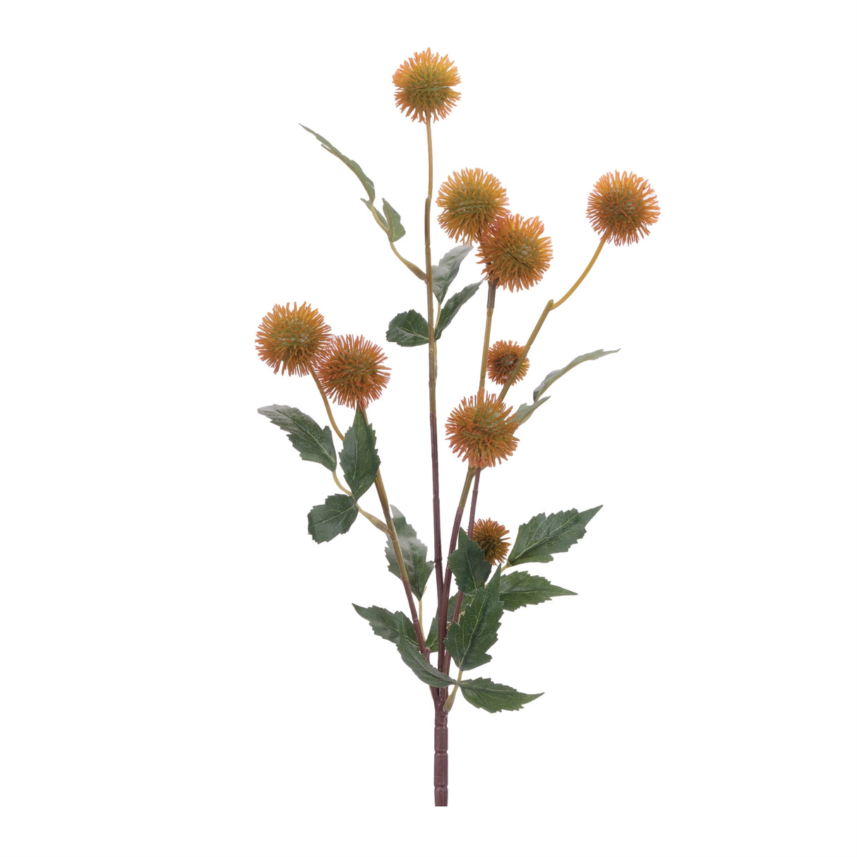 Thistle pod branch (set of 6)
