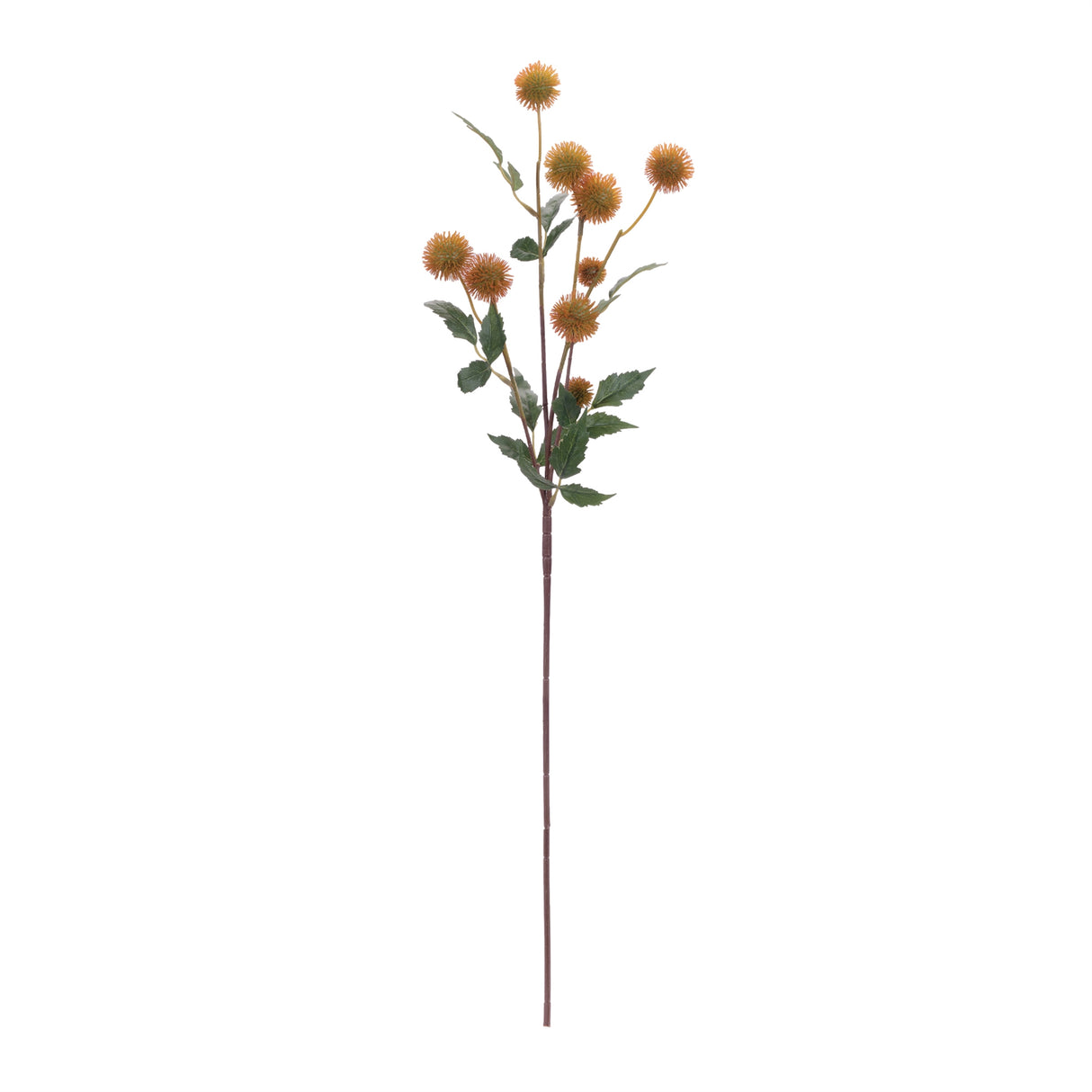 Thistle pod branch (set of 6)