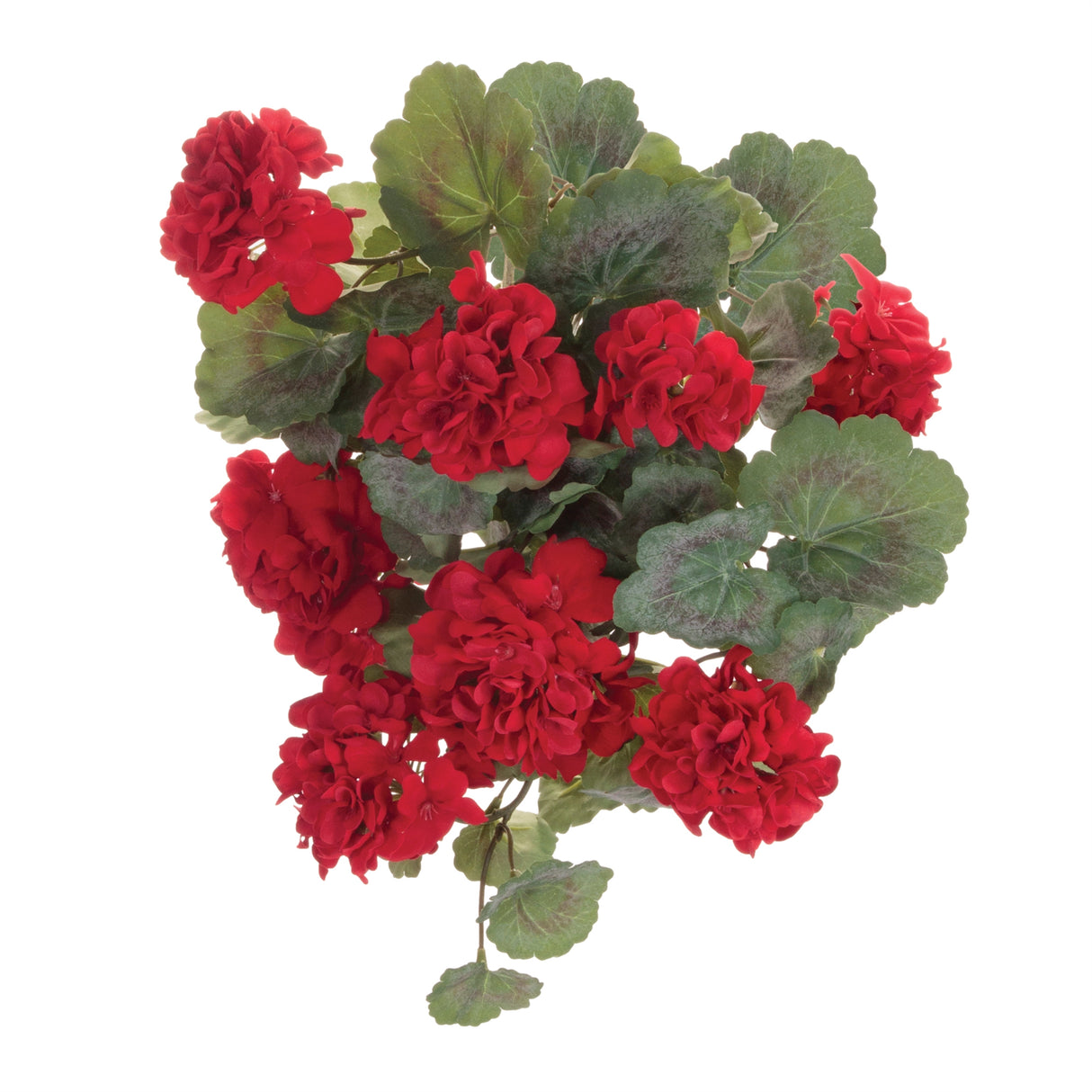 Hanging geranium floral bush (set of 2)