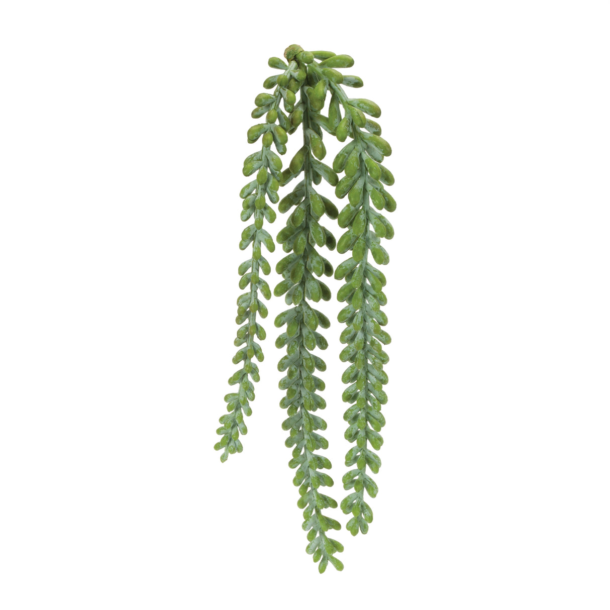 Hanging sedum succulent spray (set of 12)