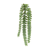 Hanging-sedum-succulent-spray-(set-of-12)-Artificial-Flowering-Plants
