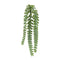Hanging-sedum-succulent-spray-(set-of-12)-Artificial-Flowering-Plants