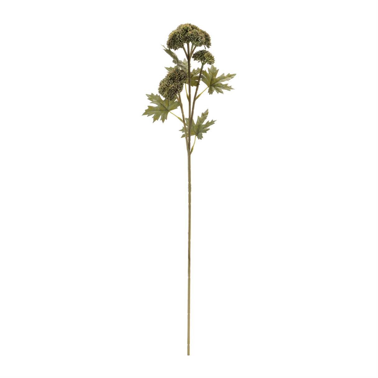 Sedum succulent spray (set of 6)