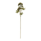 Sedum succulent spray (set of 6)