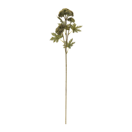 Sedum succulent spray (set of 6)
