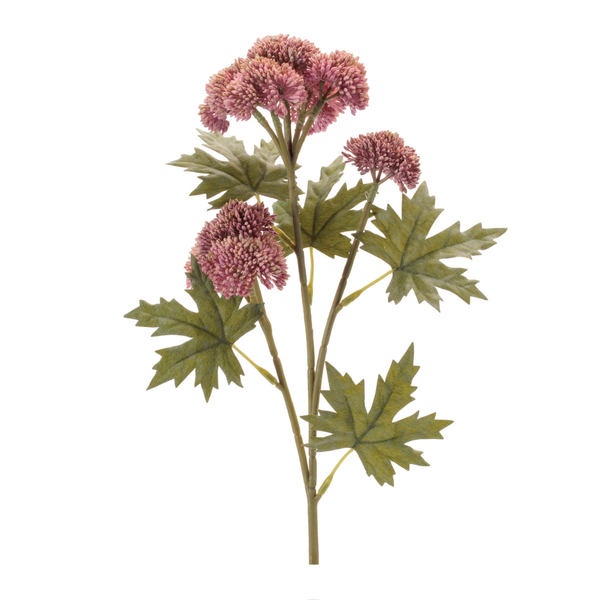 Sedum succulent spray (set of 6)