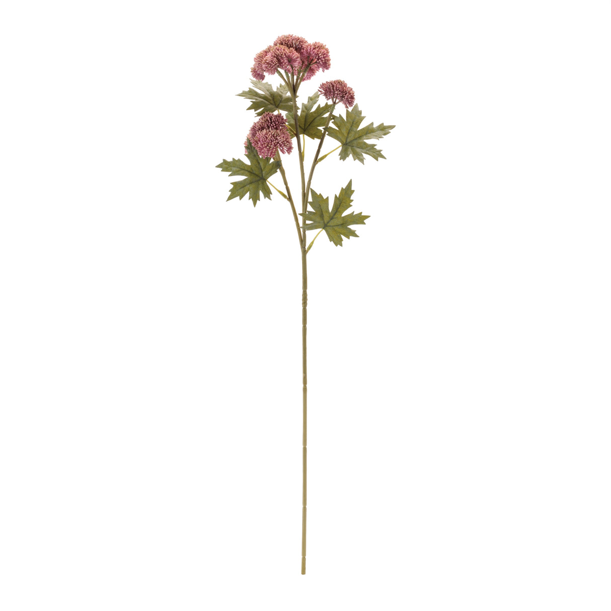 Sedum succulent spray (set of 6)