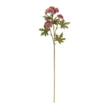 Sedum succulent spray (set of 6)