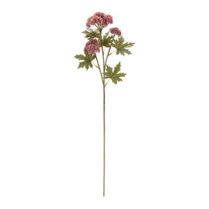 Sedum Succulent Spray (Set of 6)